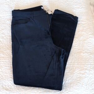 BNWT Loft 16/33 tall velvet skinny pants